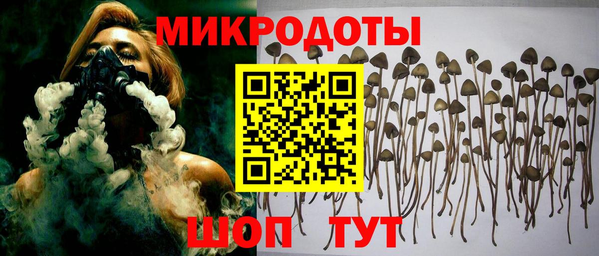 Галлюциногенные грибы мицелий Керчь