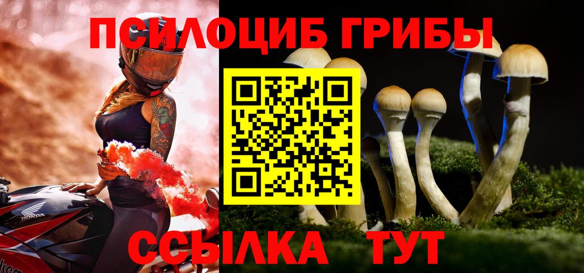 Псилоцибиновые грибы GOLDEN TEACHER  Вход с VPN  где найти наркотики  Керчь 